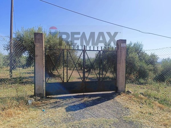 terreno agricolo in vendita a Motta Sant'Anastasia in zona Centro Storico