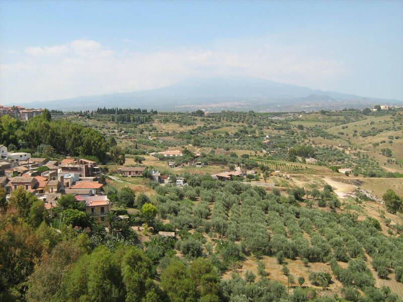 terreno agricolo in vendita a Motta Sant'Anastasia in zona Centro Storico