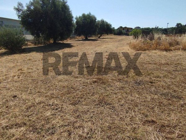 terreno agricolo a Motta Sant'Anastasia in zona Piano Tavola / Belvedere