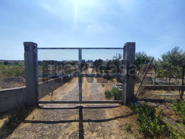 terreno agricolo in vendita a Motta Sant'Anastasia in zona Centro Storico