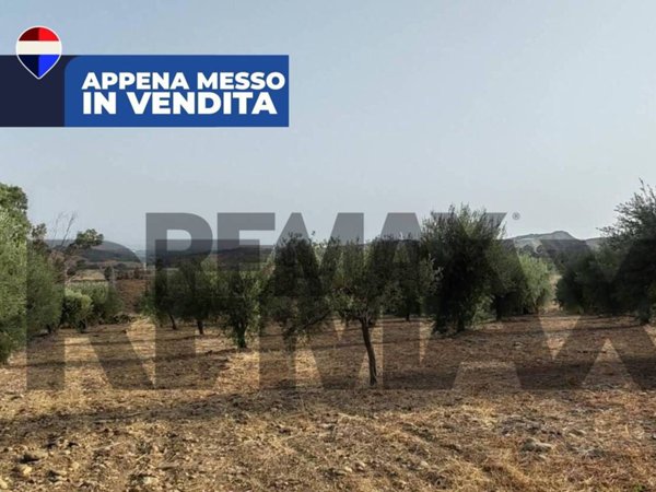 terreno agricolo in vendita a Motta Sant'Anastasia in zona Sigonella