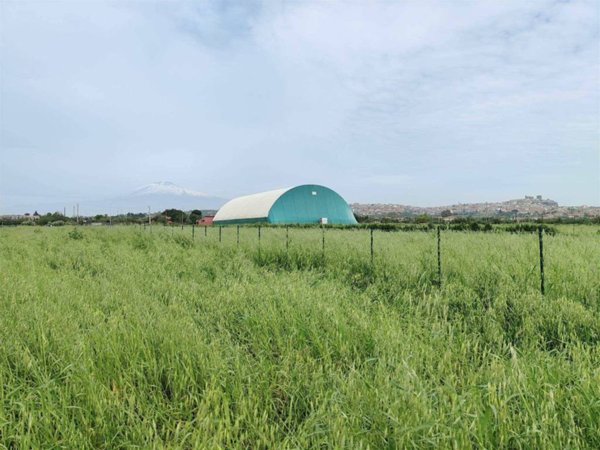 terreno in vendita a Motta Sant'Anastasia
