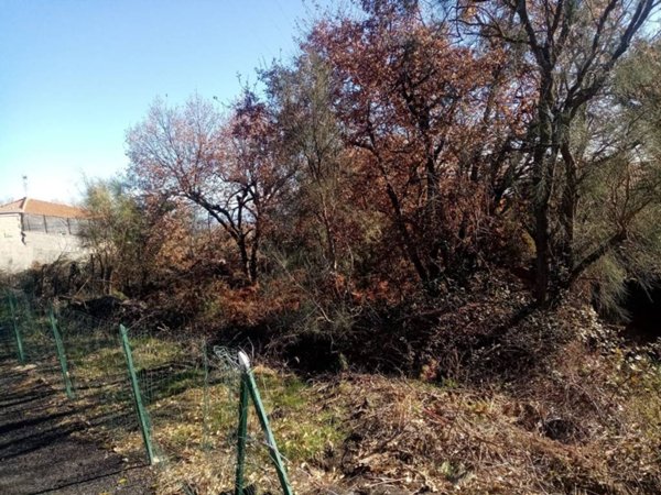 terreno agricolo in vendita a Nicolosi