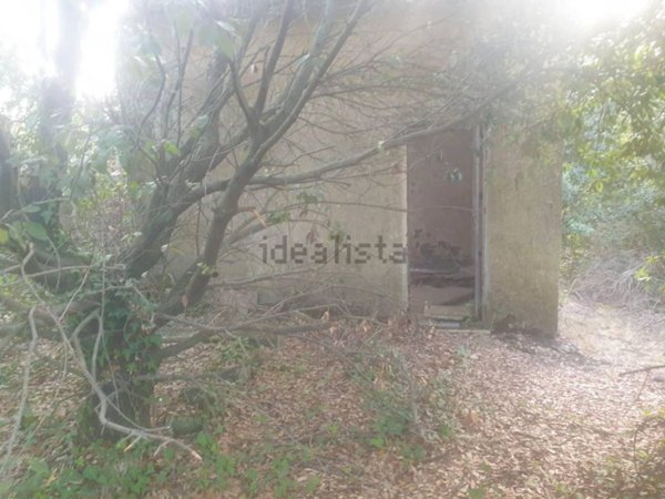 terreno agricolo in vendita a Nicolosi