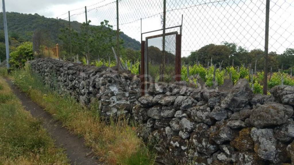 terreno agricolo in vendita a Nicolosi