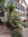 casa indipendente in vendita a Nicolosi