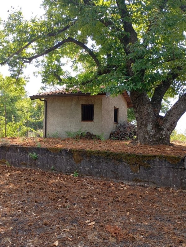 terreno agricolo in vendita a Nicolosi
