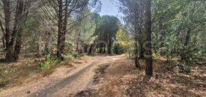 rudere in vendita a Nicolosi