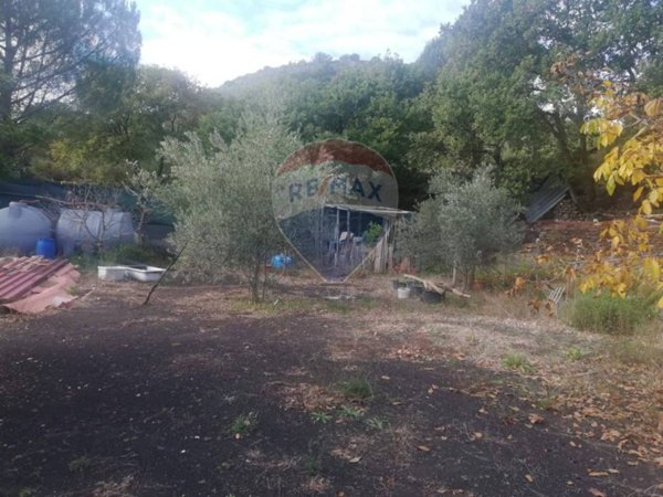 terreno agricolo in vendita a Nicolosi