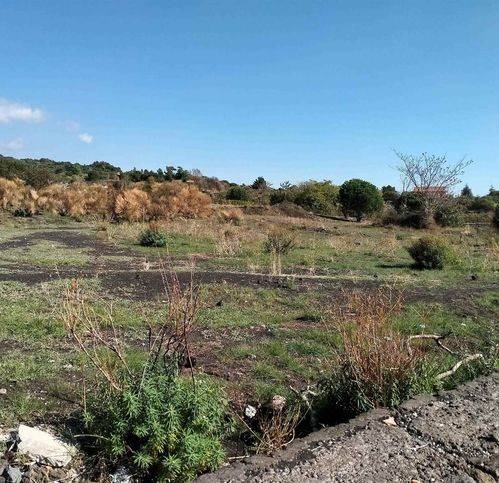 terreno agricolo in vendita a Nicolosi