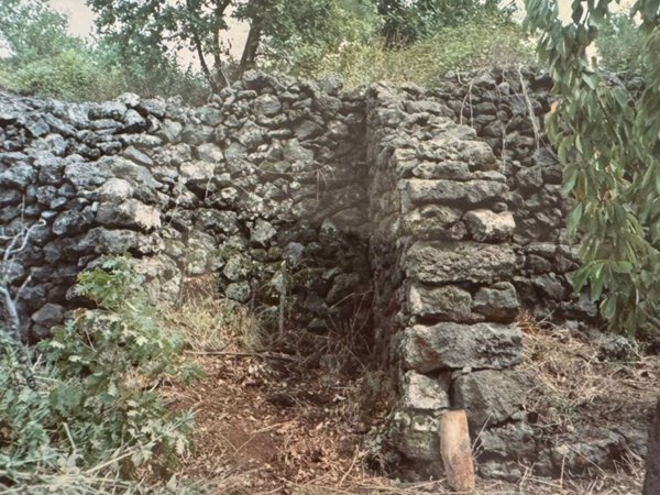 terreno agricolo in vendita a Nicolosi