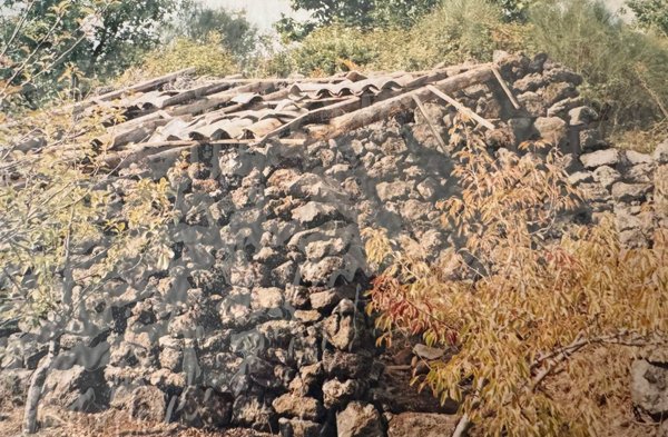 terreno agricolo in vendita a Nicolosi