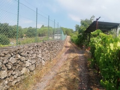 terreno agricolo in vendita a Nicolosi