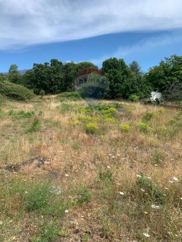 terreno agricolo in vendita a Nicolosi