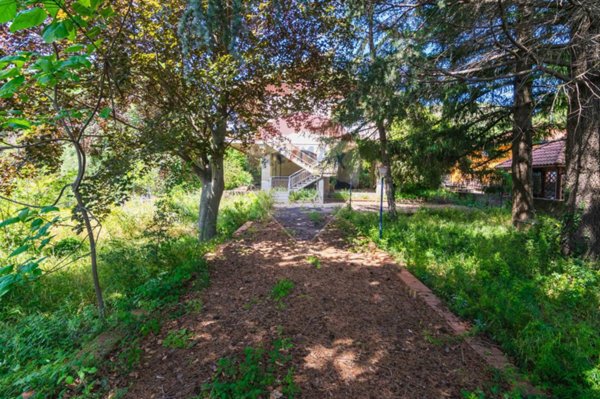 casa indipendente in vendita a Nicolosi