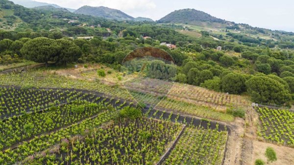 terreno agricolo in vendita a Nicolosi