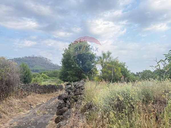 terreno agricolo in vendita a Nicolosi