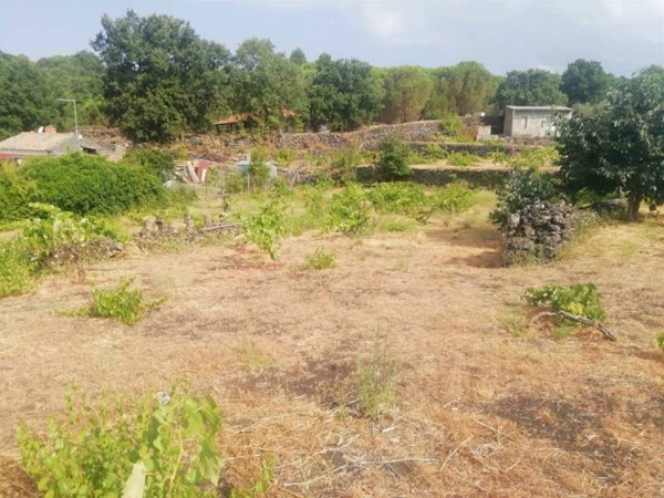 terreno agricolo in vendita a Nicolosi