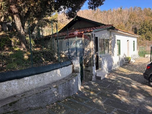 casa indipendente in vendita a Nicolosi