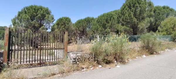 terreno agricolo in vendita a Nicolosi