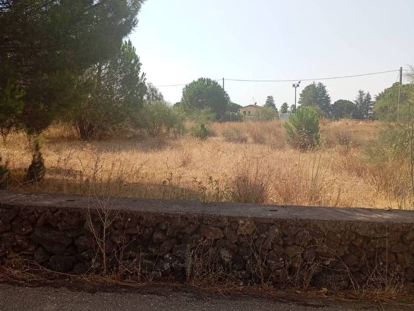 terreno agricolo in vendita a Nicolosi