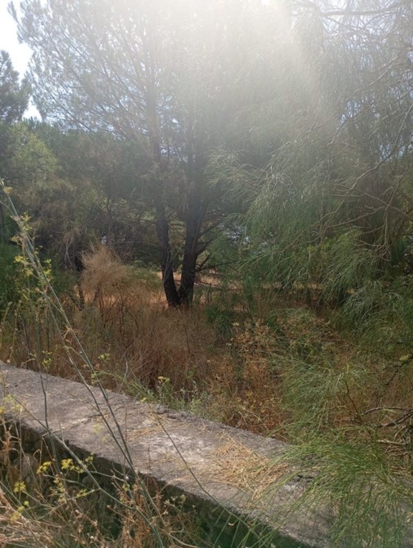terreno agricolo in vendita a Nicolosi