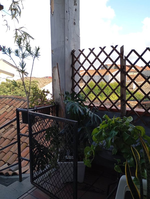 appartamento in vendita a Nicolosi