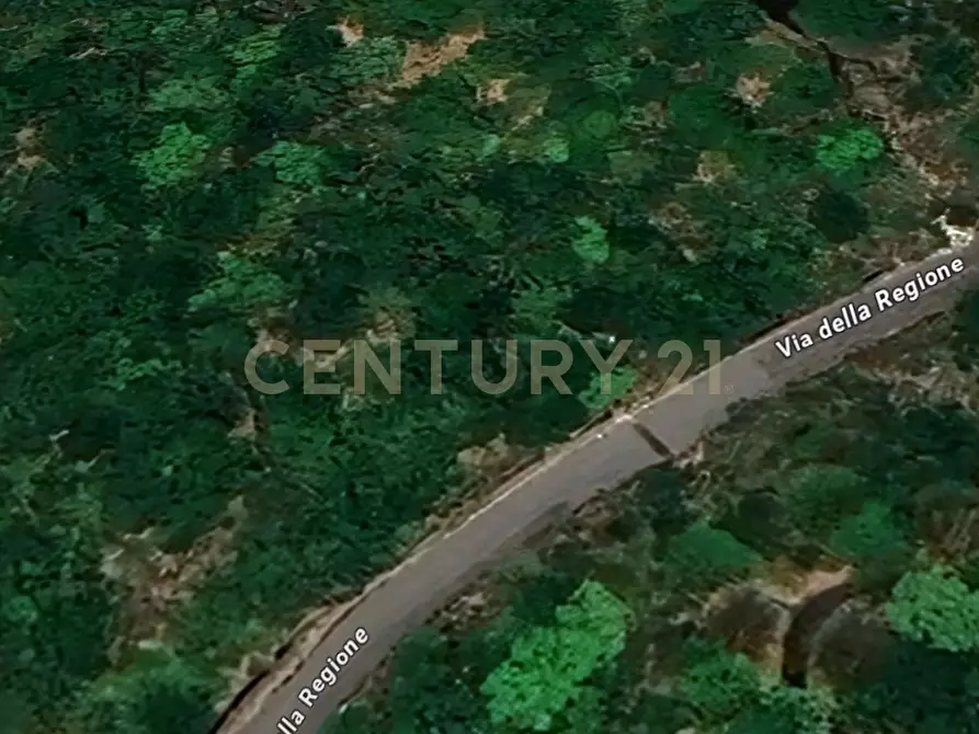 terreno agricolo in vendita a Nicolosi
