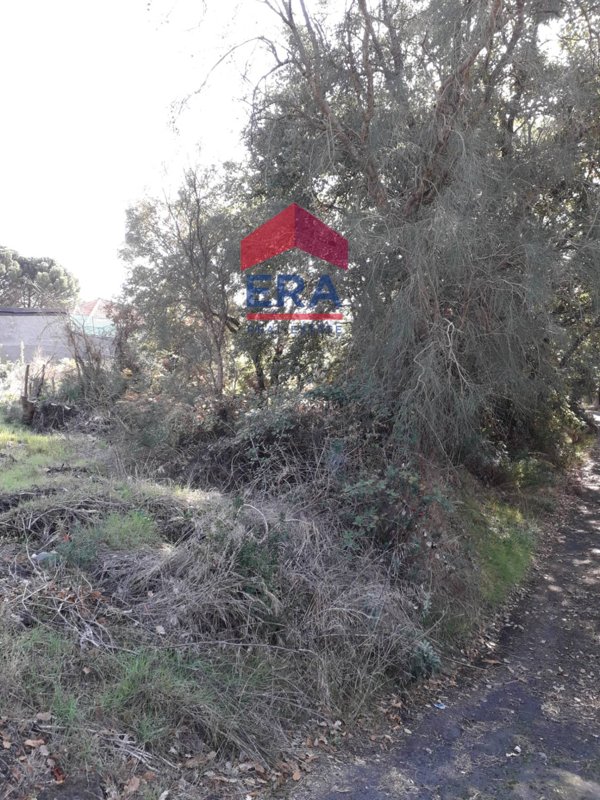 terreno agricolo in vendita a Nicolosi