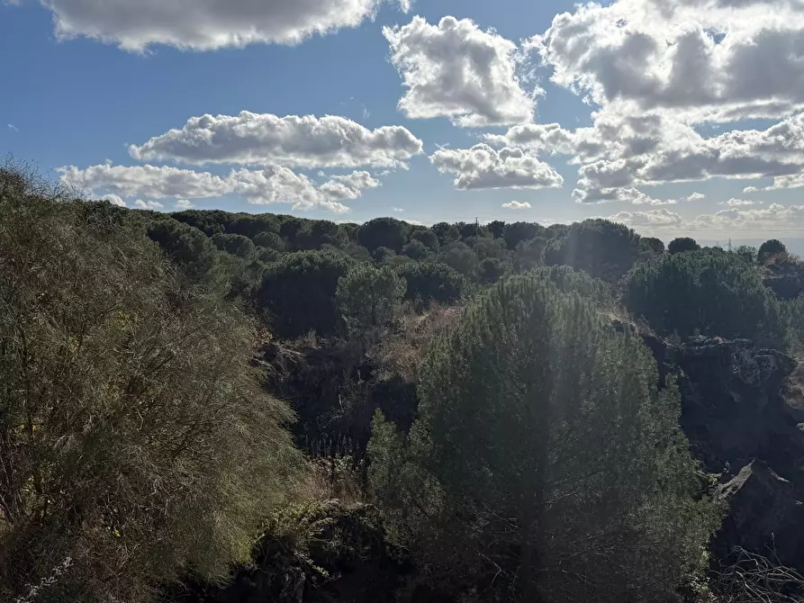 terreno agricolo in vendita a Nicolosi