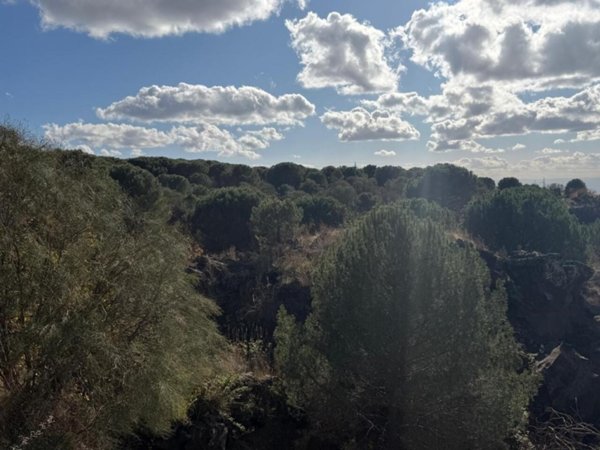 terreno agricolo in vendita a Nicolosi