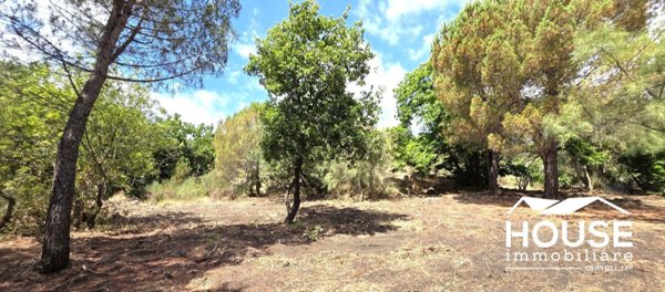 terreno edificabile in vendita a Nicolosi