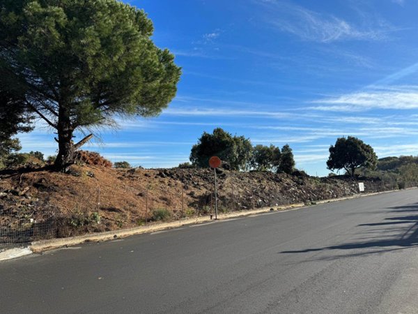 immagine annuncio 0 di 1