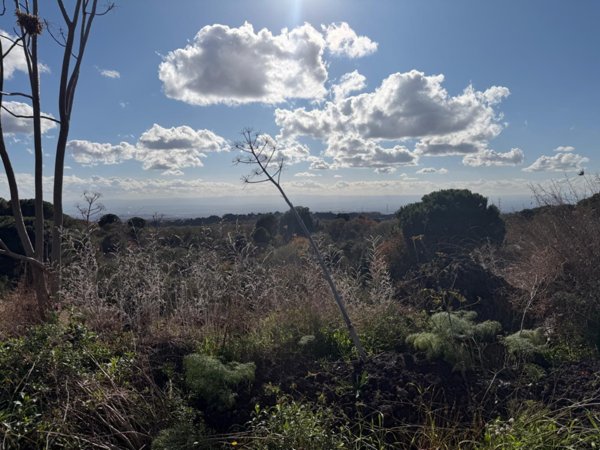 terreno agricolo in vendita a Nicolosi