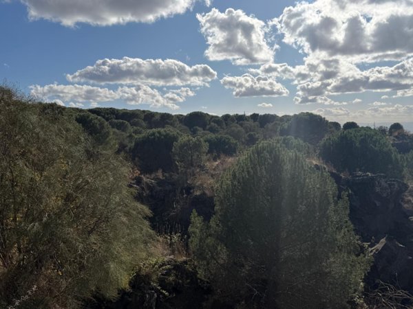 terreno agricolo in vendita a Nicolosi