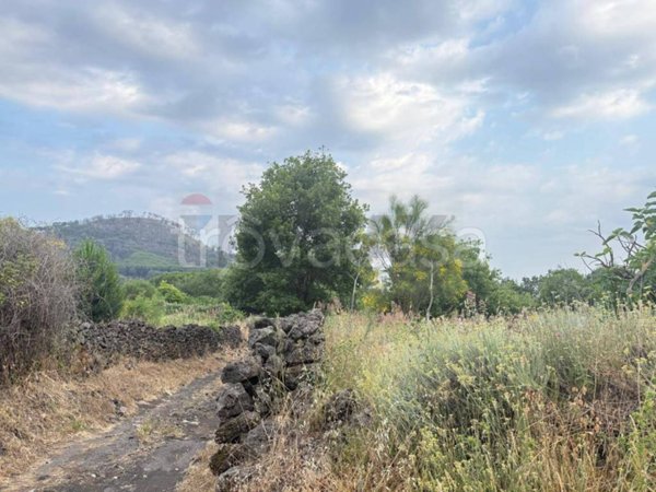 terreno agricolo in vendita a Nicolosi