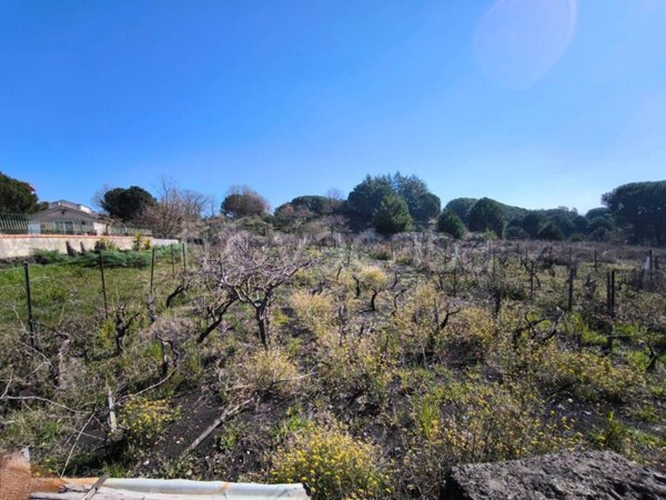 terreno agricolo in vendita a Nicolosi