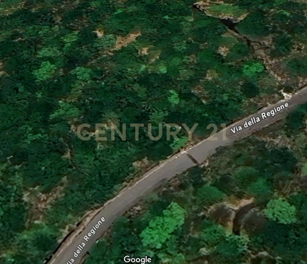 terreno agricolo in vendita a Nicolosi