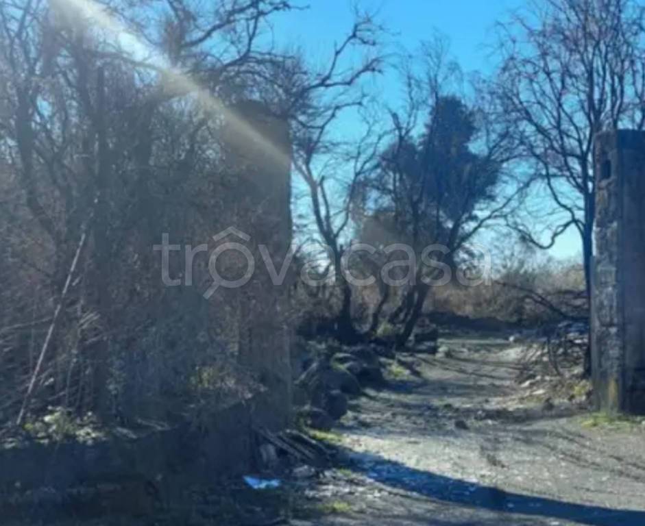 terreno agricolo in vendita a Nicolosi