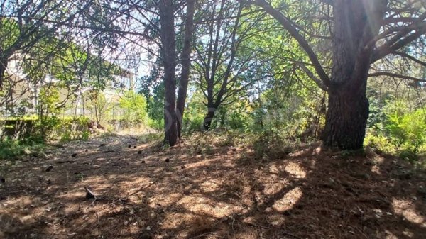 terreno agricolo in vendita a Nicolosi