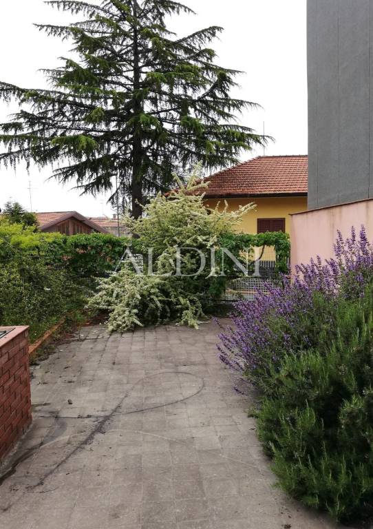 casa indipendente in vendita a Nicolosi