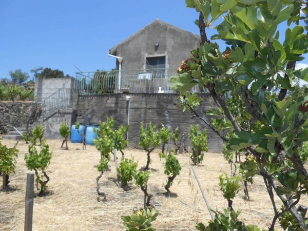 terreno agricolo in vendita a Nicolosi