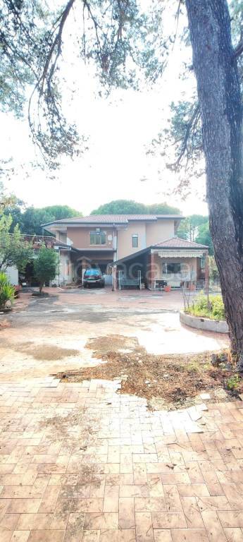 casa indipendente in vendita a Nicolosi