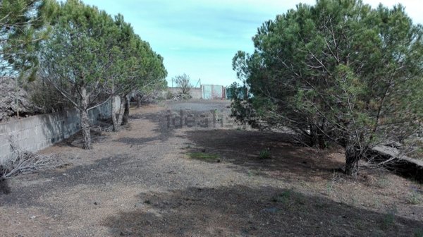 terreno in vendita a Nicolosi