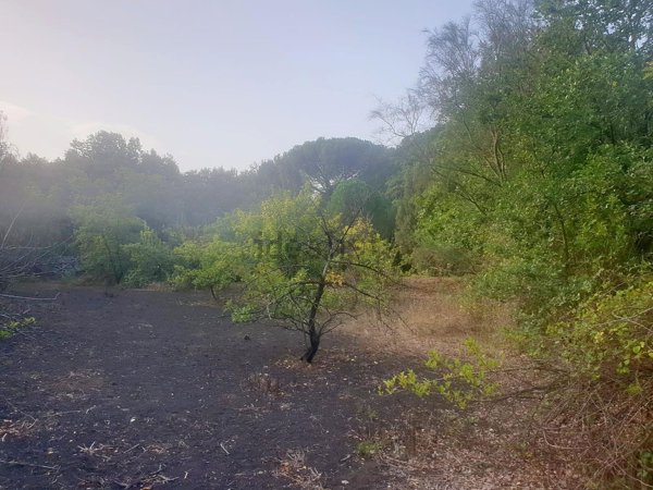 terreno in vendita a Nicolosi