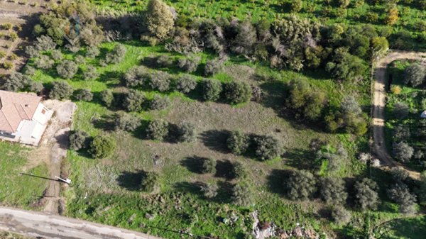 terreno agricolo in vendita a Palagonia