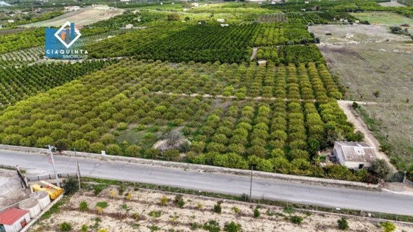 terreno agricolo in vendita a Palagonia