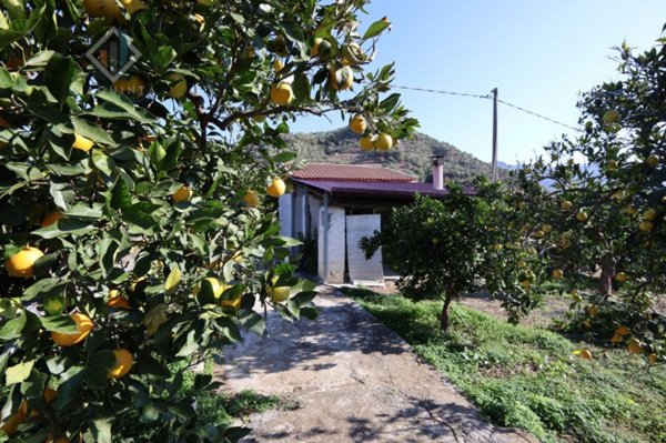 terreno agricolo in vendita a Palagonia
