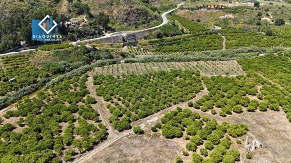 terreno agricolo in vendita a Palagonia