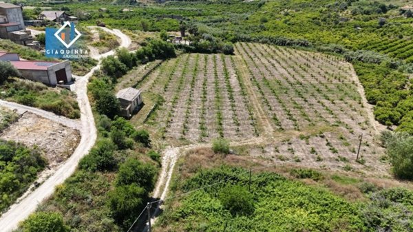 terreno agricolo in vendita a Palagonia